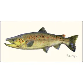 Brown Trout Metal Print