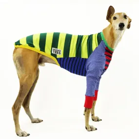 Frankie Greyhound Long Sleeve Hound-Tee